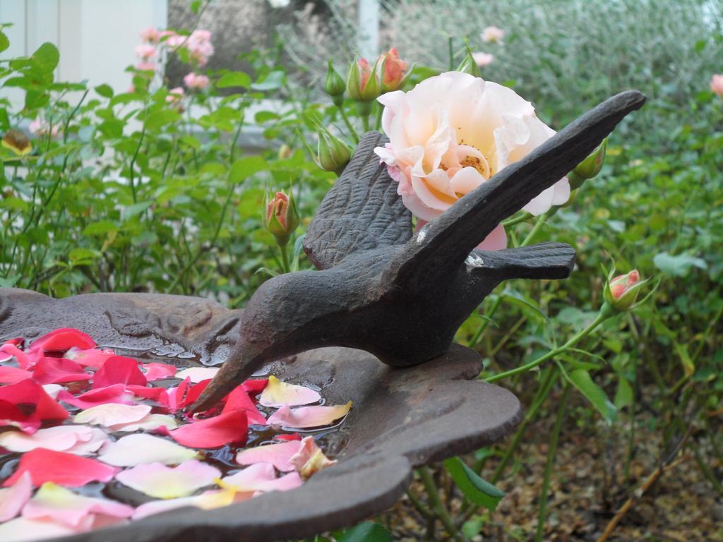 Relais Villa Roncuzzi ルッシ エクステリア 写真