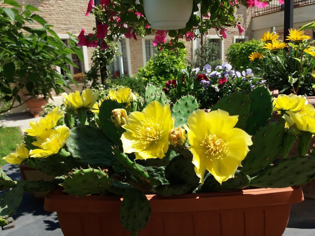 Relais Villa Roncuzzi ルッシ エクステリア 写真