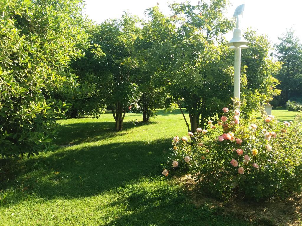 Relais Villa Roncuzzi ルッシ エクステリア 写真