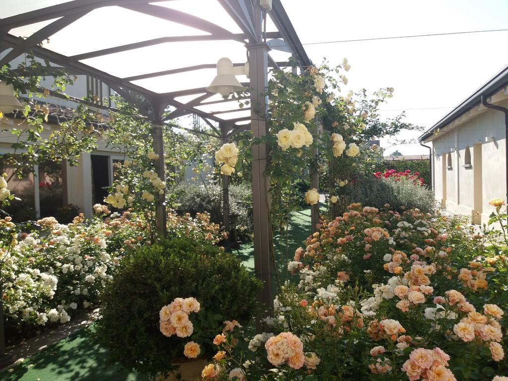 Relais Villa Roncuzzi ルッシ エクステリア 写真